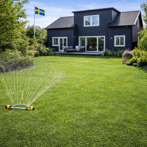 Gräsmatta Extra Green _ Extra tålig mot torka