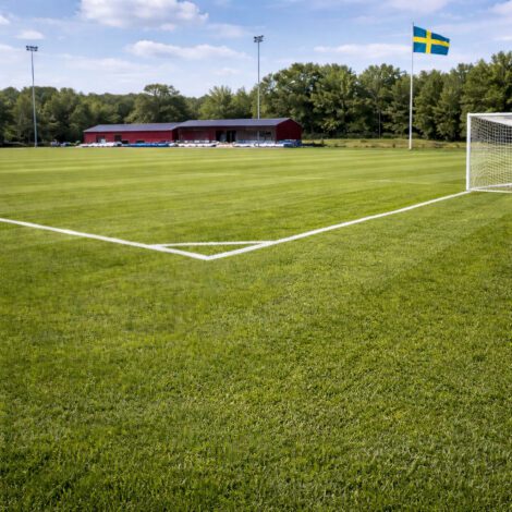 Gräsmatta Sport _ Säkert val för fotbollsplaner
