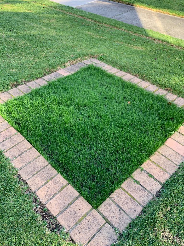 turfquick gräsmatta reparera