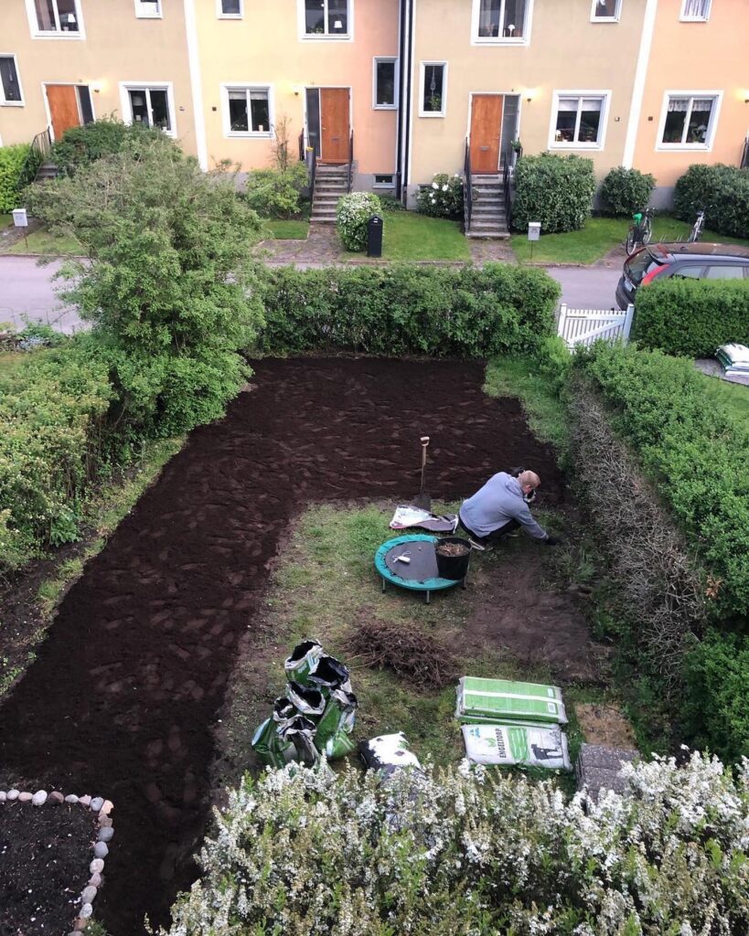 gräsmatta