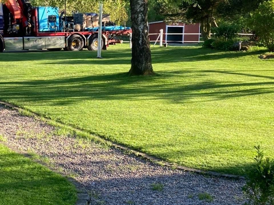 Gräsmatta Skugga