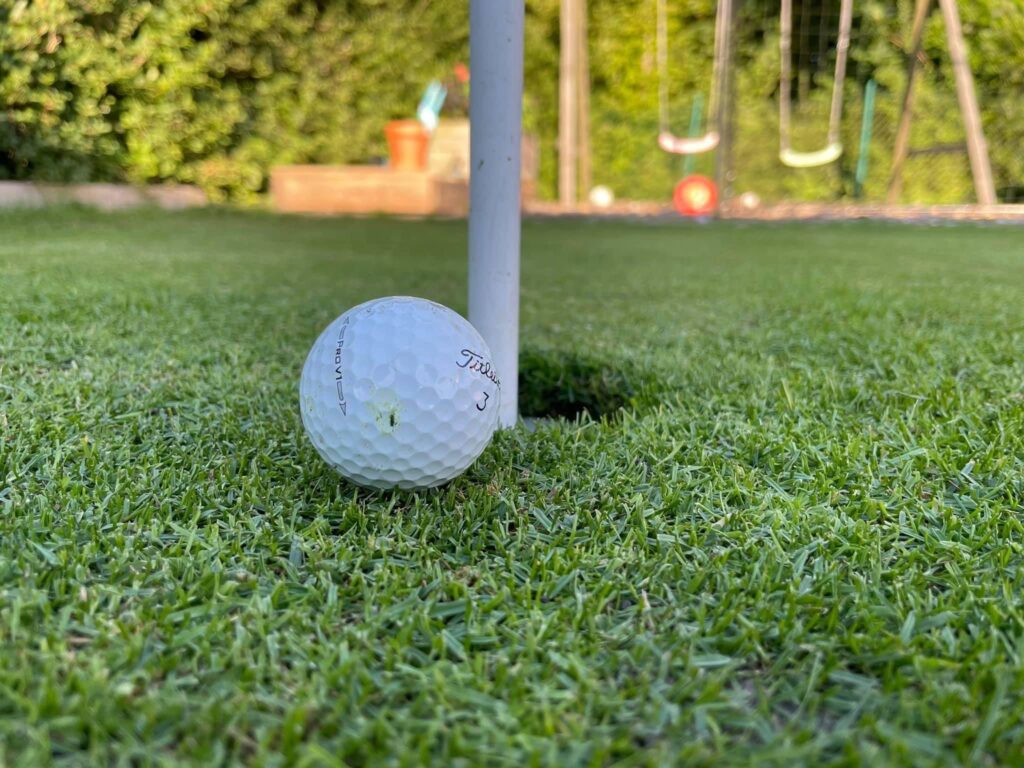 Gräsmatta Golfmaster - Sund, skottät och tål låg klipphöjd