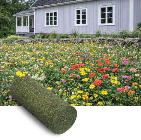 Blomsterängsblandning Lågväxande