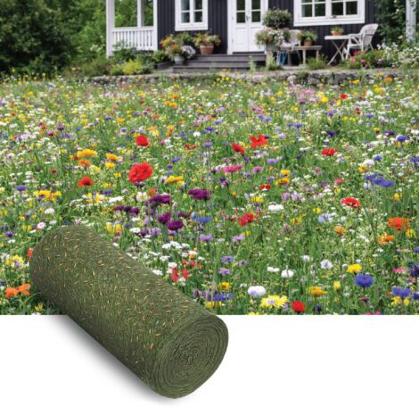 Blomsterängsblandning Medelhög