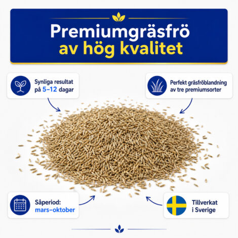 Gräsfrö Premium 02