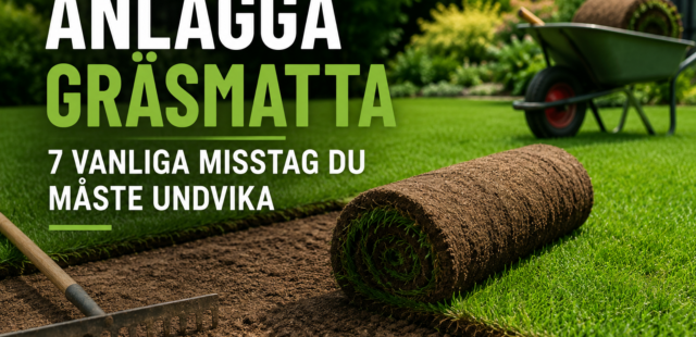 Anlägga gräsmatta – vanliga misstag du måste undvika