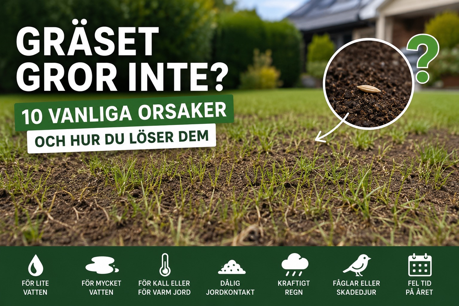 Gräset gror inte? 10 vanliga orsaker och hur du löser dem