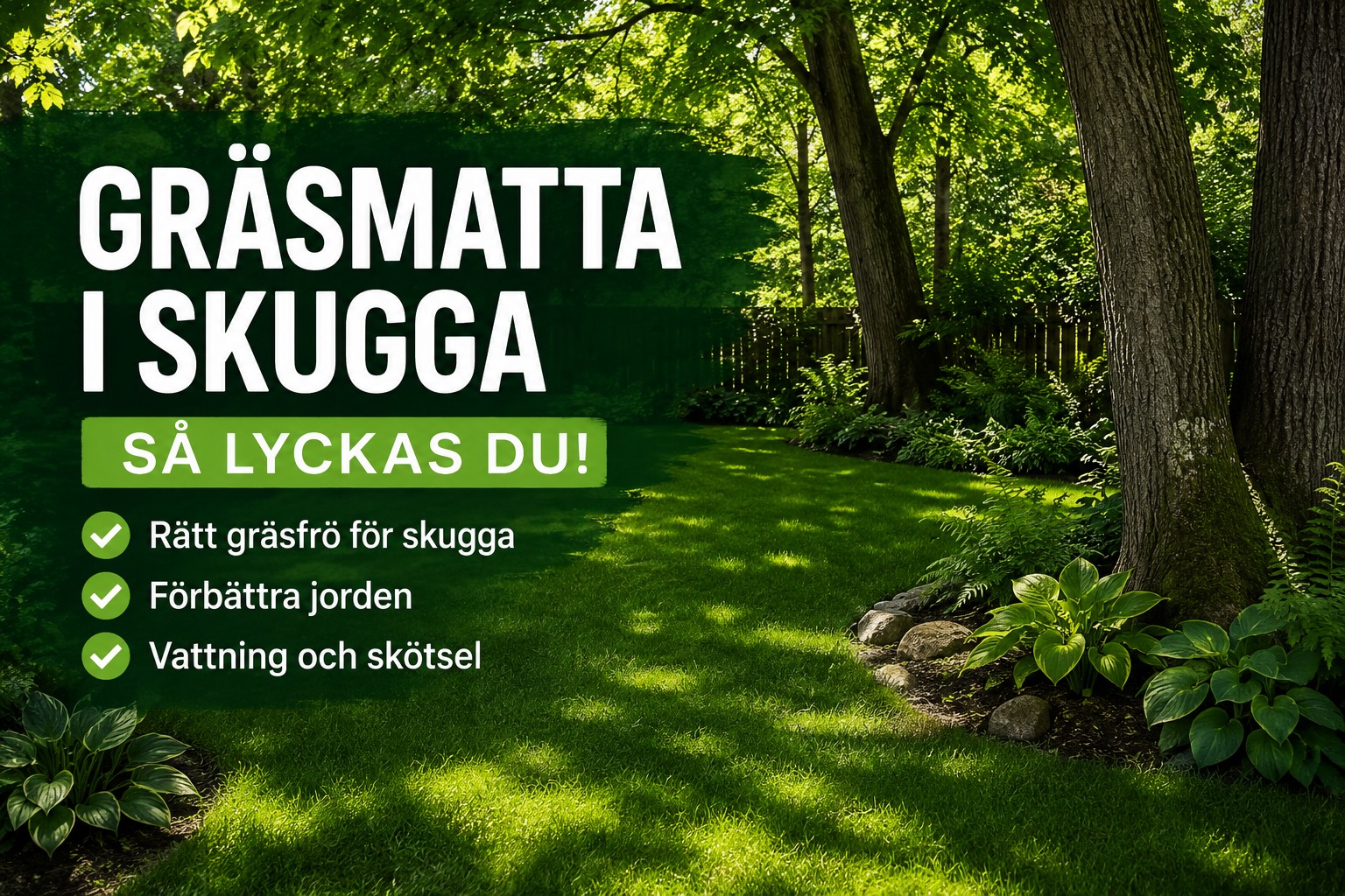Gräsmatta i skugga – så lyckas du