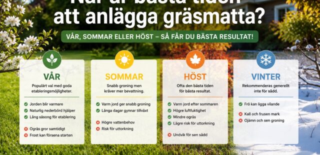 När är bästa tiden att anlägga gräsmatta?