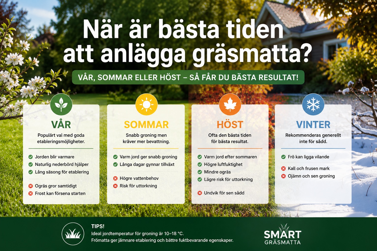 När är bästa tiden att anlägga gräsmatta?