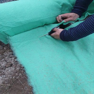 Gräsmatta klippa turfquick